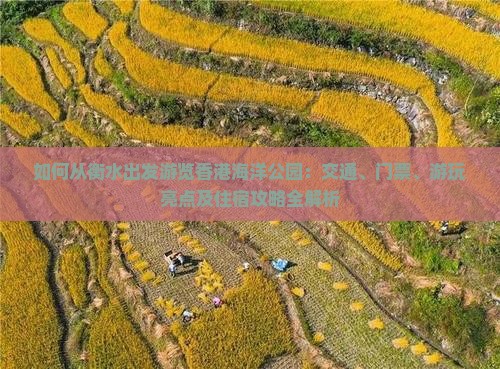 如何从衡水出发游览香港海洋公园：交通、门票、游玩亮点及住宿攻略全解析