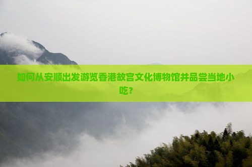 如何从安顺出发游览香港故宫文化博物馆并品尝当地小吃？