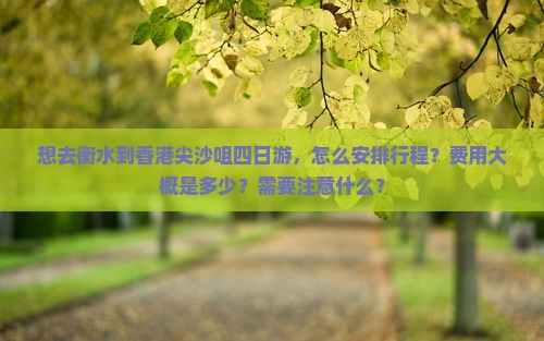 想去衡水到香港尖沙咀四日游，怎么安排行程？费用大概是多少？需要注意什么？