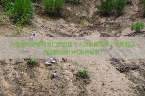 为何仙桃游客对澳门旅游塔个人游情有独钟，如何解决签证难题和行程规划痛点？