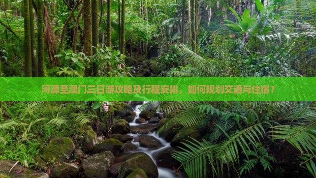 河源至澳门三日游攻略及行程安排，如何规划交通与住宿？