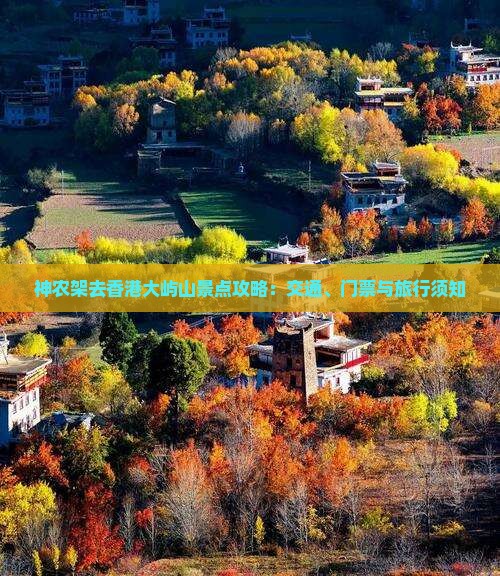 神农架去香港大屿山景点攻略：交通、门票与旅行须知