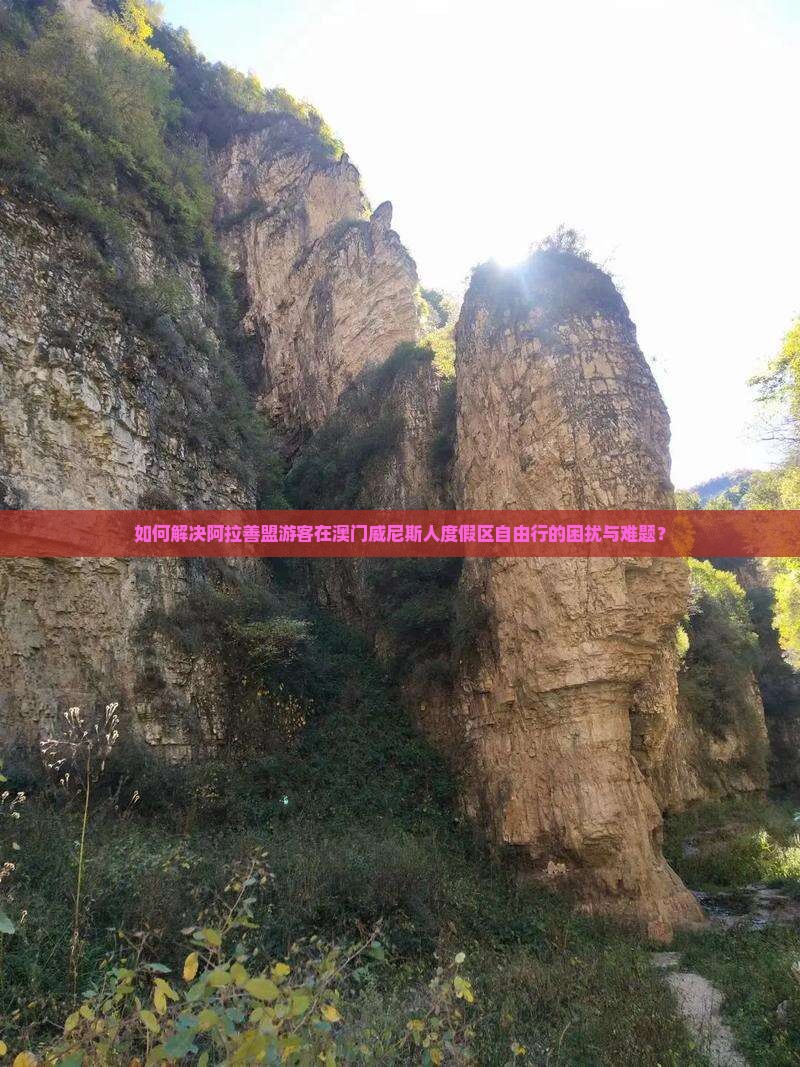 如何解决阿拉善盟游客在澳门威尼斯人度假区自由行的困扰与难题？