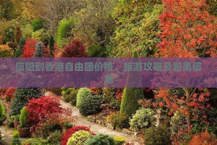 信阳到香港自由团价格、旅游攻略及距离信息