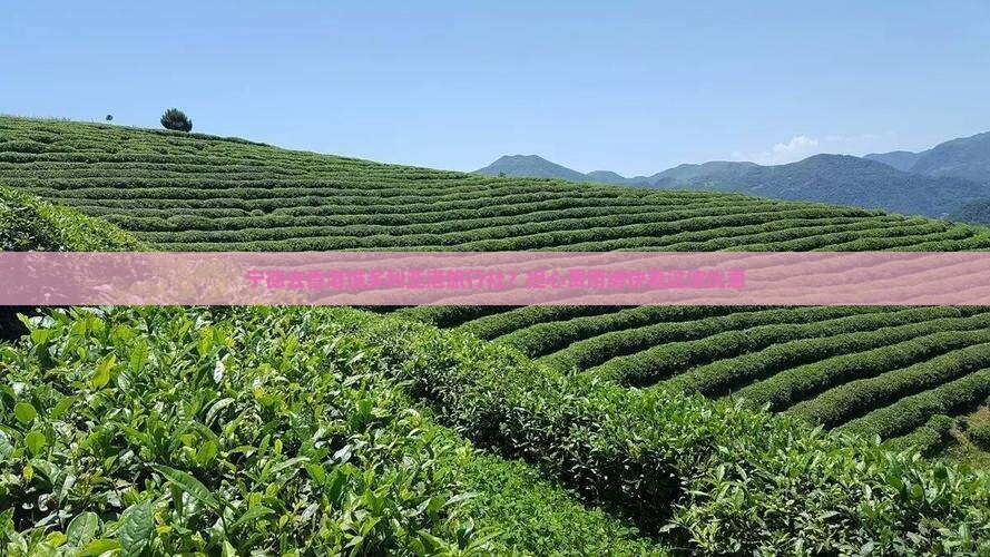宁德去香港维多利亚港旅行社？担心费用缚快看这波优惠
