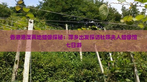 香港港澳两地蜡像探秘：萍乡出发探访杜莎夫人蜡像馆七日游