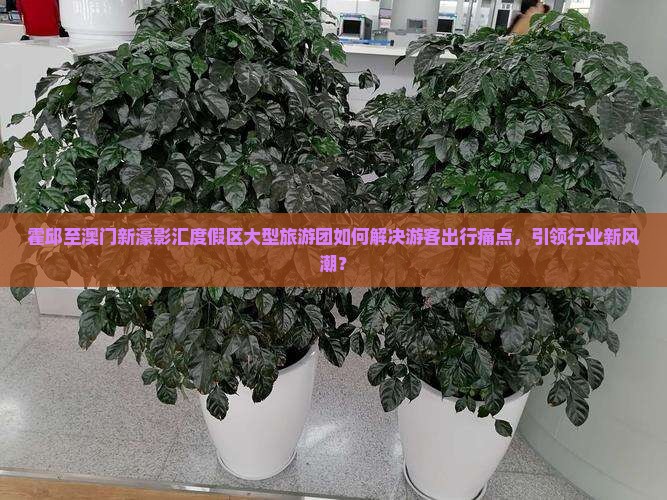 霍邱至澳门新濠影汇度假区大型旅游团如何解决游客出行痛点，引领行业新风潮？
