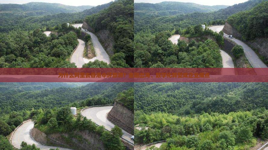 为什么阿里去香港中环旅游？金融出海、数字化转型成企业痛点