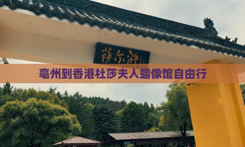 亳州到香港杜莎夫人蜡像馆自由行