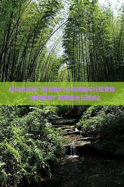 绥化出发澳门官也街六日游攻略与行程安排，如何规划？有哪些必玩景点？