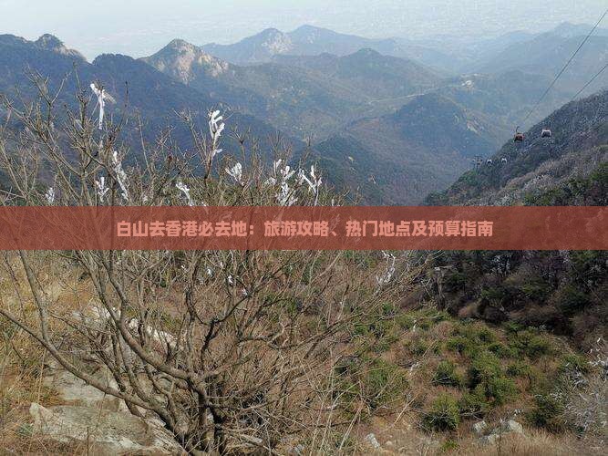 白山去香港必去地：旅游攻略、热门地点及预算指南