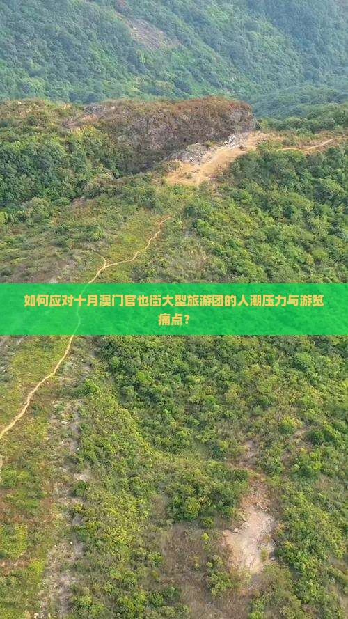 如何应对十月澳门官也街大型旅游团的人潮压力与游览痛点？