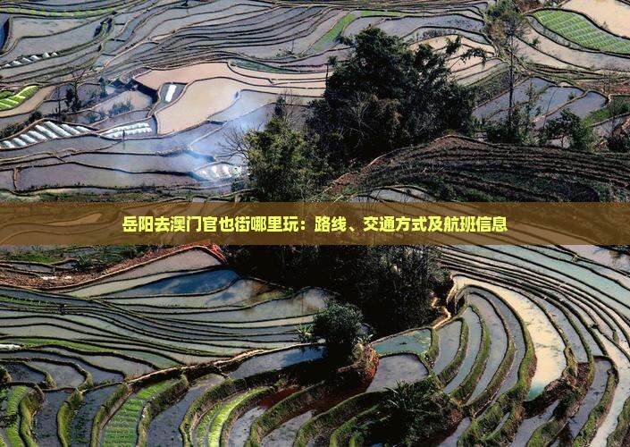 岳阳去澳门官也街哪里玩：路线、交通方式及航班信息