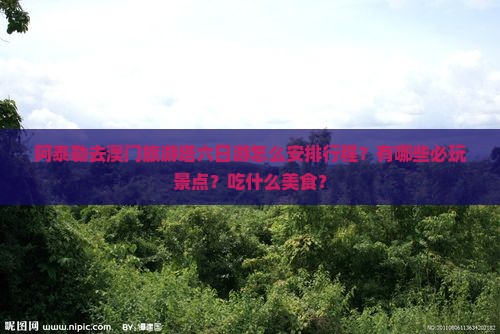 阿泰勒去澳门旅游塔六日游怎么安排行程？有哪些必玩景点？吃什么美食？