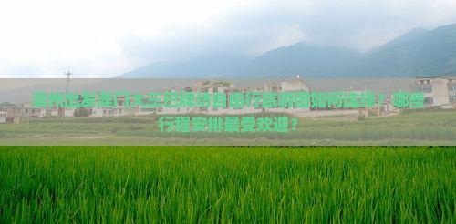 滨州出发澳门大三巴牌坊自由行旅游团如何选择？哪些行程安排最受欢迎？
