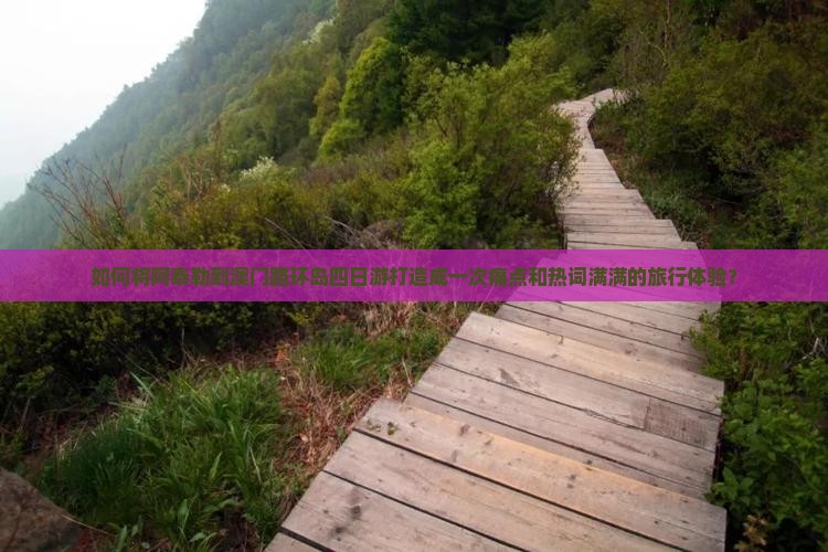 如何将阿泰勒到澳门路环岛四日游打造成一次痛点和热词满满的旅行体验？