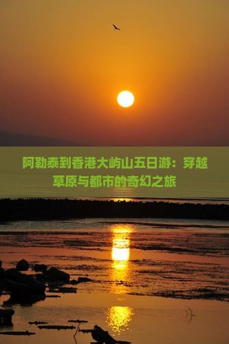 阿勒泰到香港大屿山五日游：穿越草原与都市的奇幻之旅