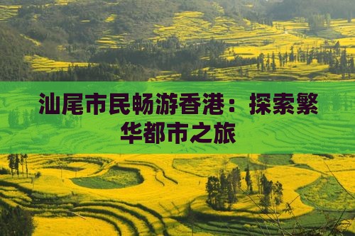 汕尾市民畅游香港：探索繁华都市之旅