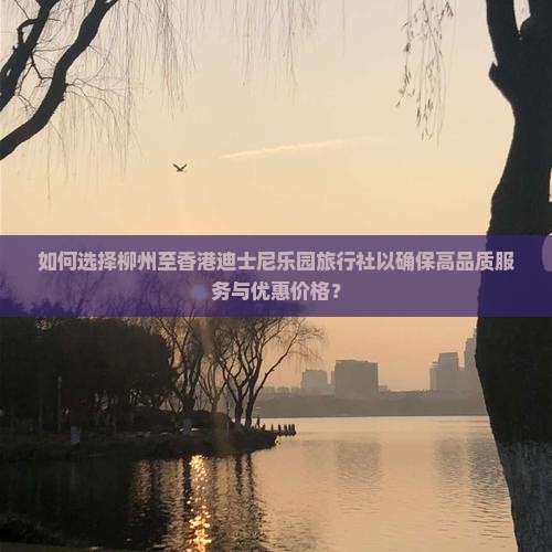 如何选择柳州至香港迪士尼乐园旅行社以确保高品质服务与优惠价格？