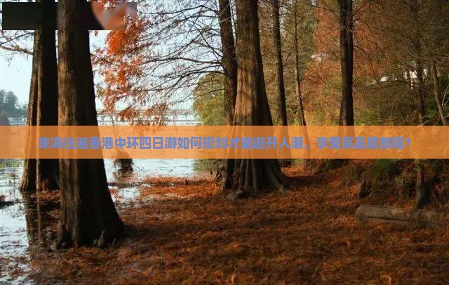 珠海往返香港中环四日游如何规划才能避开人潮，享受高品质旅程？