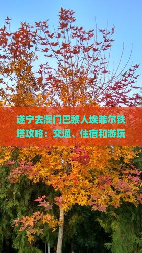 遂宁去澳门巴黎人埃菲尔铁塔攻略：交通、住宿和游玩建议