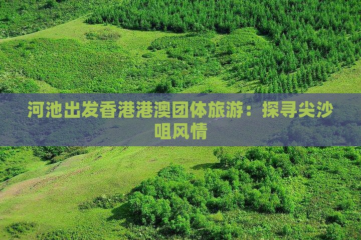 河池出发香港港澳团体旅游：探寻尖沙咀风情
