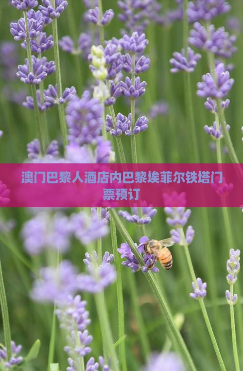澳门巴黎人酒店内巴黎埃菲尔铁塔门票预订