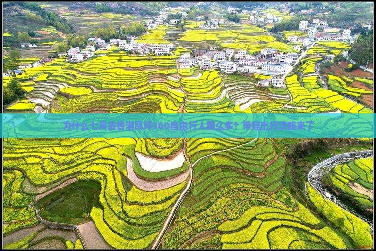 为什么七月去香港昂坪360自由行人那么多？带娃出行攻略来了