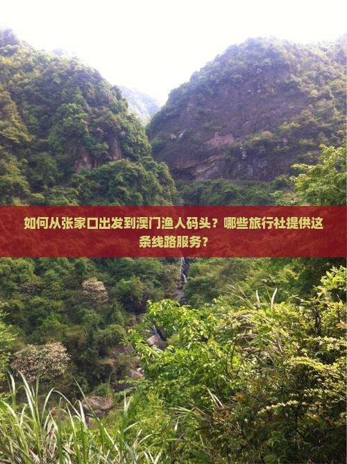 如何从张家口出发到澳门渔人码头？哪些旅行社提供这条线路服务？