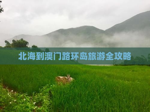 北海到澳门路环岛旅游全攻略