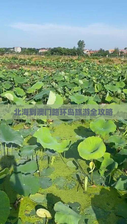 北海到澳门路环岛旅游全攻略