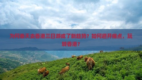 为何春天去香港三日游成了新趋势？如何避开痛点，玩转香港？