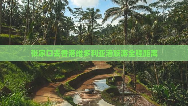 张家口去香港维多利亚港旅游全程距离