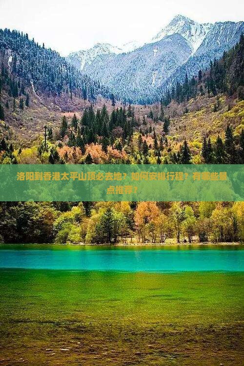 洛阳到香港太平山顶必去地？如何安排行程？有哪些景点推荐？