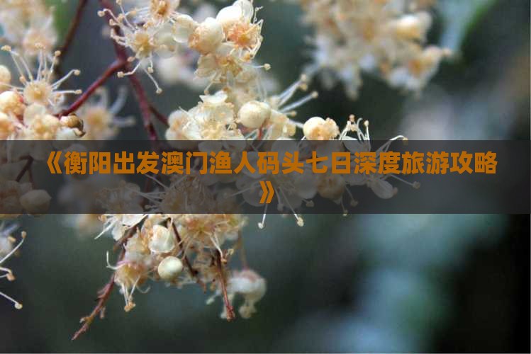 《衡阳出发澳门渔人码头七日深度旅游攻略》