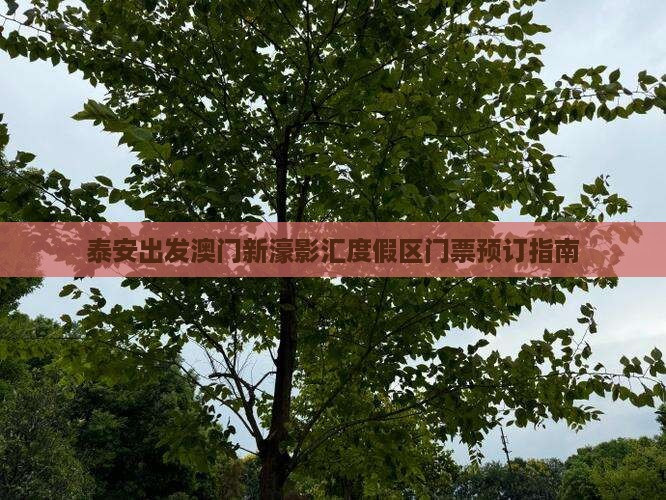泰安出发澳门新濠影汇度假区门票预订指南