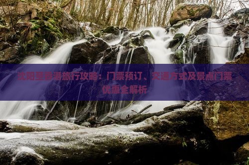 沈阳至香港旅行攻略：门票预订、交通方式及景点门票优惠全解析