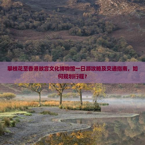 攀枝花至香港故宫文化博物馆一日游攻略及交通指南，如何规划行程？