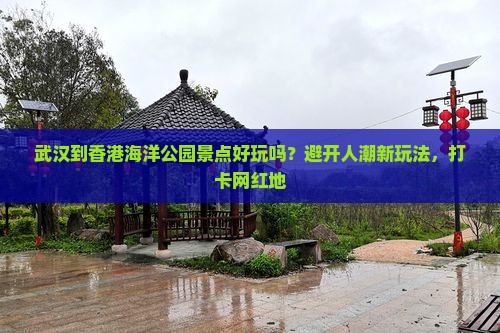 武汉到香港海洋公园景点好玩吗？避开人潮新玩法，打卡网红地