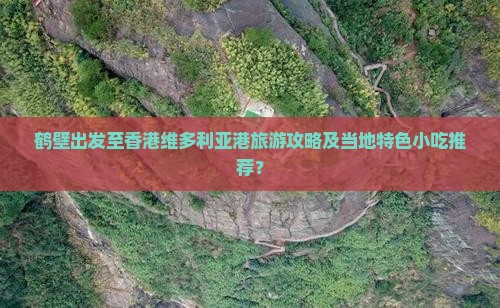 鹤壁出发至香港维多利亚港旅游攻略及当地特色小吃推荐？