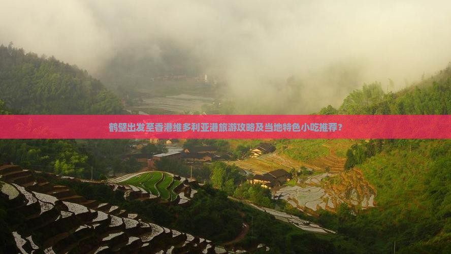 鹤壁出发至香港维多利亚港旅游攻略及当地特色小吃推荐？