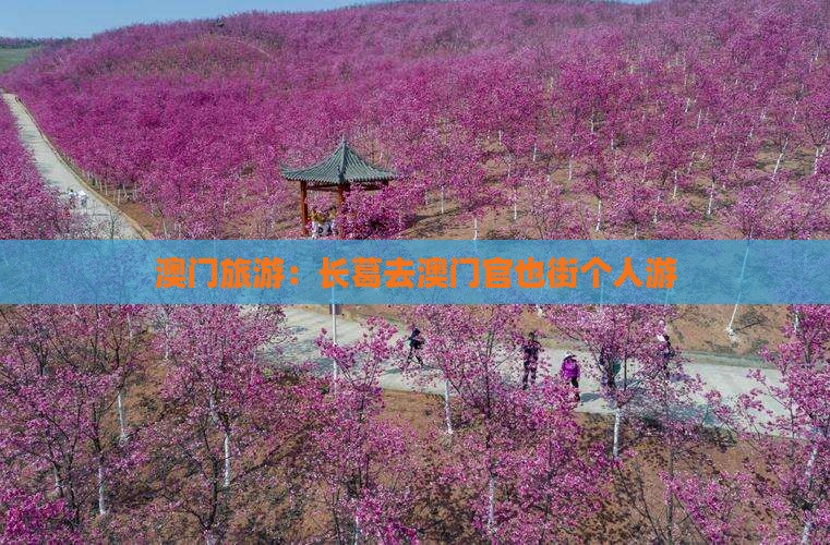 澳门旅游：长葛去澳门官也街个人游