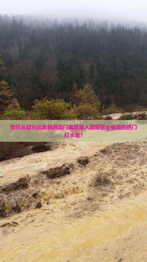如何从绍兴出发畅游澳门威尼斯人度假区必体验的热门打卡地？