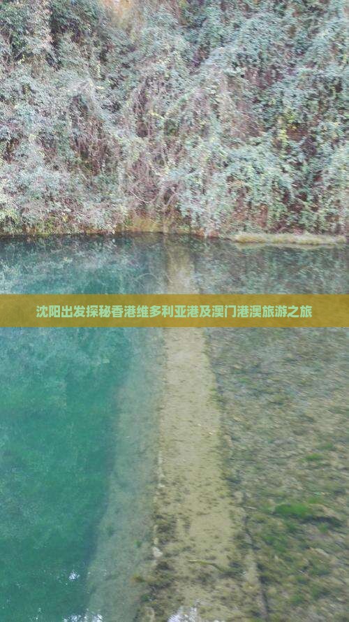 沈阳出发探秘香港维多利亚港及澳门港澳旅游之旅