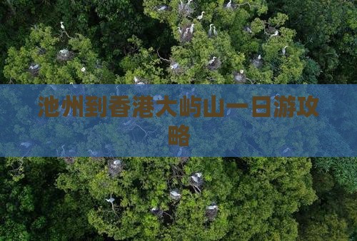 池州到香港大屿山一日游攻略