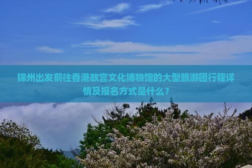 锦州出发前往香港故宫文化博物馆的大型旅游团行程详情及报名方式是什么？