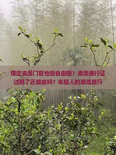 保定去澳门官也街自由团？港澳通行证过期了还能去吗？年轻人的潮流旅行