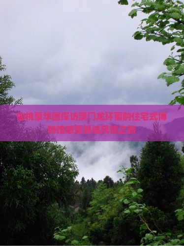 仙桃豪华团探访澳门龙环葡韵住宅式博物馆感受异域风情之旅
