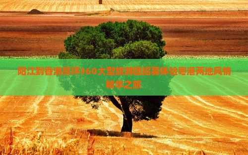 阳江到香港昂坪360大型旅游团招募体验粤港两地风情精华之旅