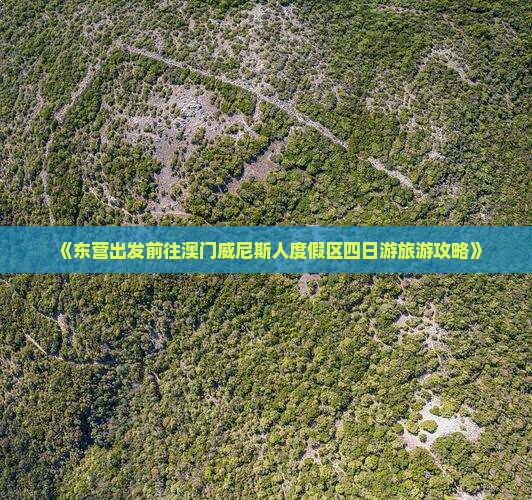 《东营出发前往澳门威尼斯人度假区四日游旅游攻略》